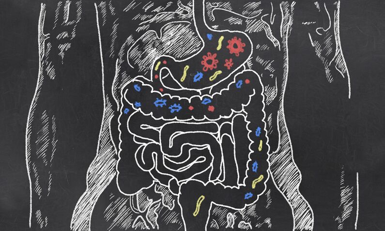 Parassiti nell'area gastrointestinale di una persona