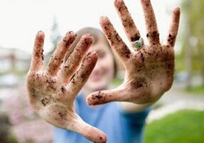 Le cause dei parassiti nel corpo umano