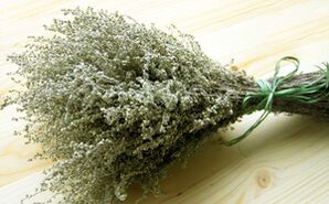 Wormwood per rimuovere i parassiti dal corpo
