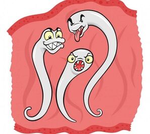 Quali parassiti possono vivere nel corpo umano